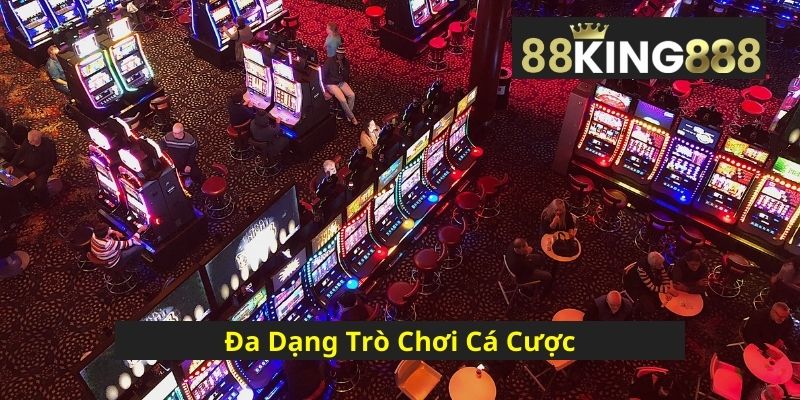 Da-Dang-Tro-Choi-Ca-Cuoc